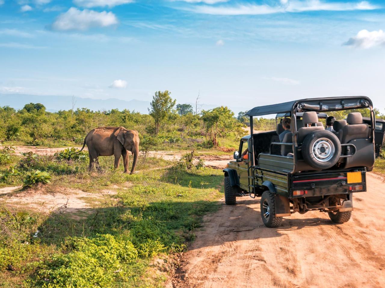 Ekhaya Bush Lodge Ходспруит Екстериор снимка